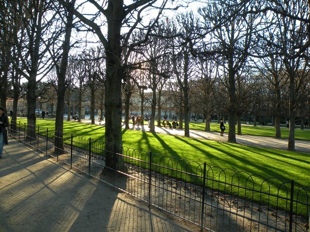  après midi de janvier, jardin du Luxembourg